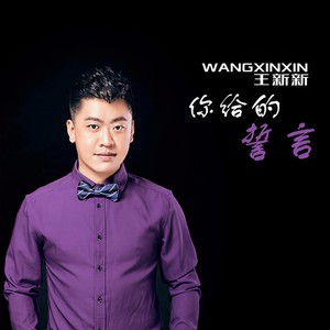 王新新 - 你给的誓言