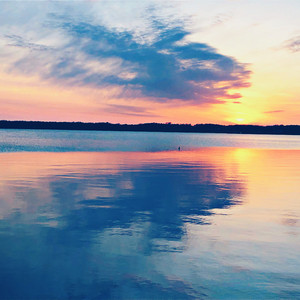 Everyday , Every Night