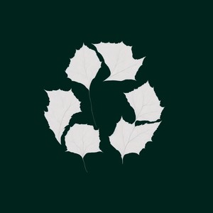 ЭРАУНД (feat. ICN) (Explicit)