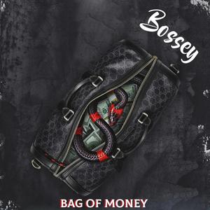 Bag of Money (feat. Telee) (Explicit)