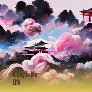 A Day In My Life