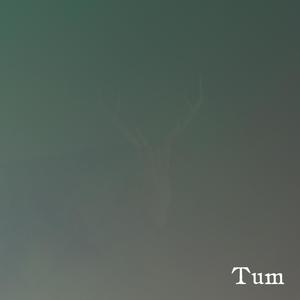 TUM