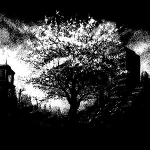 SANA SÖZ - Hoodtrap