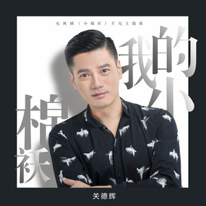 我的小棉袄封面