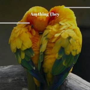 Anything They