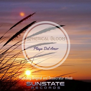 Playa Del Amor (Desaicrator Remix)