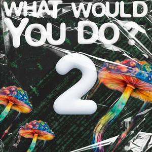 What would you do? 2 (Explicit)