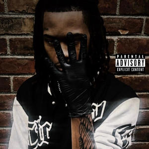 WOLF FLOW 1.0 (Explicit)