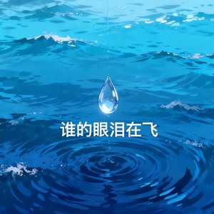 谁的眼泪在飞 (电吉他版)