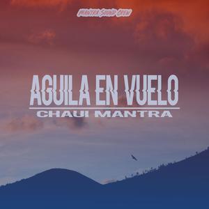 Águila en vuelo (Explicit)