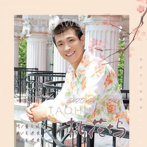 王洪友 - 桃花坞