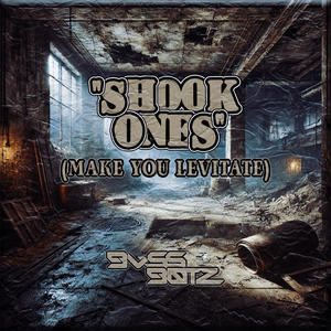 Shook Ones (Make You Levitate) [Explicit]