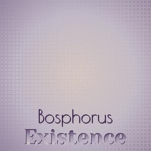 Bosphorus Existence