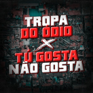 Tropa do Ódio X Tu Gosta Não Gosta (Explicit)