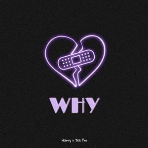 Why (SLOWED + REVERB)