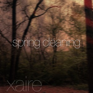 Spring Cleaning (Explicit)