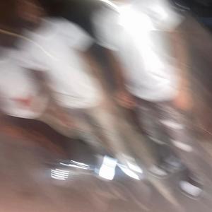 FREE REEEP (Explicit)