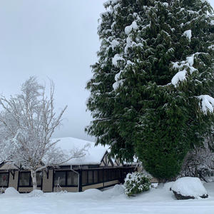 Pockets Painted (feat. San Lorenzo & The Yamasexuals) (Explicit)