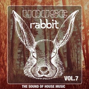 House Rabbit Vol. 7 (The Sound of House Music)