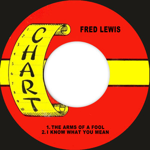 The Arms Of A Fool / I Know What You Mean