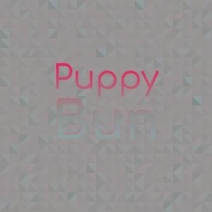 Puppy Bun
