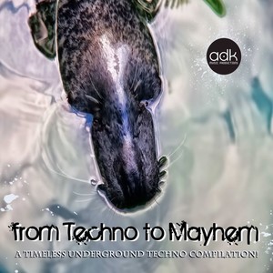 From Techno to Mayhem (A Timeless Underground Techno Compilation)