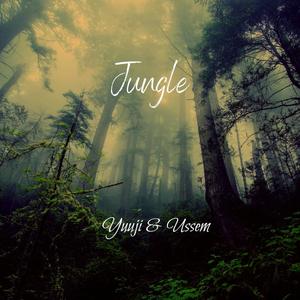 Jungle (feat. Ussem) [Explicit]