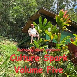 Culture Spark Volume Five