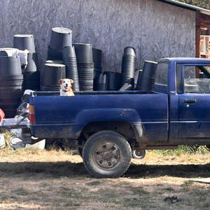 Pedicab hero (Explicit)