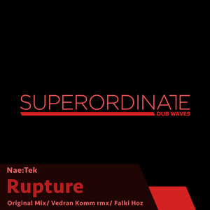 Rupture (Falki Hoz Rmx)