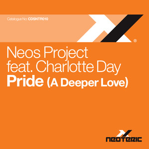 Pride(A Deeper Love) (Soulshaker Dub Mix)