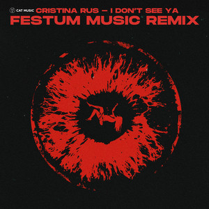 I Don't See Ya (Festum Music Remix)