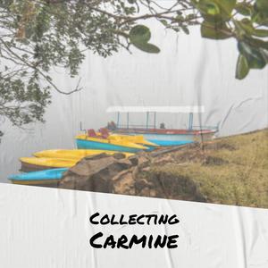 Collecting Carmine