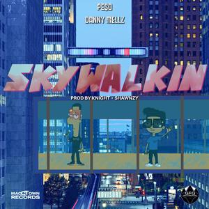 Skywalkin (feat. Danny Mellz) [Explicit]