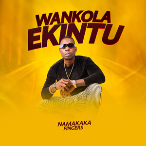 Wankola Ekintu