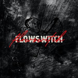 Flow Switch