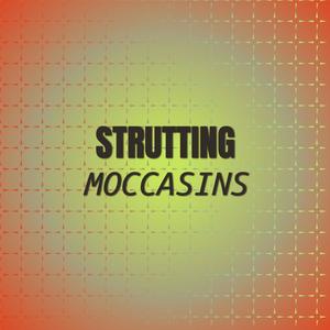 Strutting Moccasins