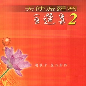 天使波羅蜜金選集2