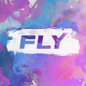 Fly