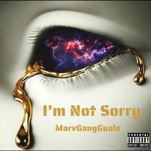 I'm Not Sorry (Explicit)