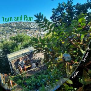 Turn and Run