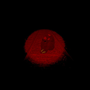 красные огни