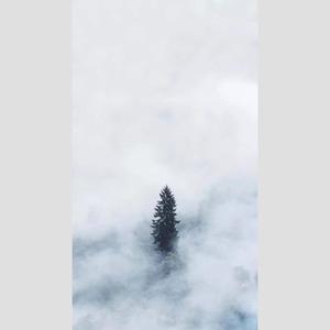 你有没有见过他