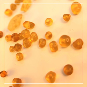 Ámbar (Remix Acapella)