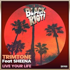 Live Your Life (Extended Mix)