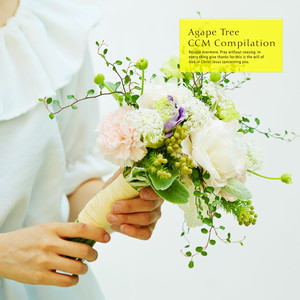 아가페 트리의 아름다운 생각을 위한 CCM 피아노 모음집 (CCM Piano Collection For The Beautiful Thought Of Agape Tree)