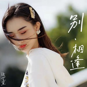 别再相逢 (伴奏)