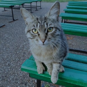 боюсь что ты уйдешь