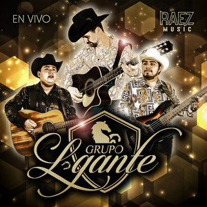 Amar a Mi Nivel (En Vivo)