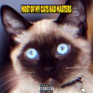 MOST OF MY CATS HAD MASTERS (feat. Ramzey) (Explicit)